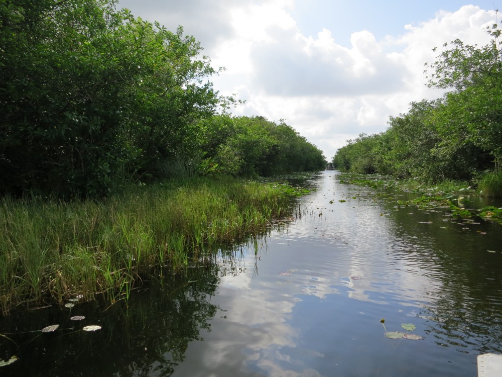 Florida Trip May 2012 028