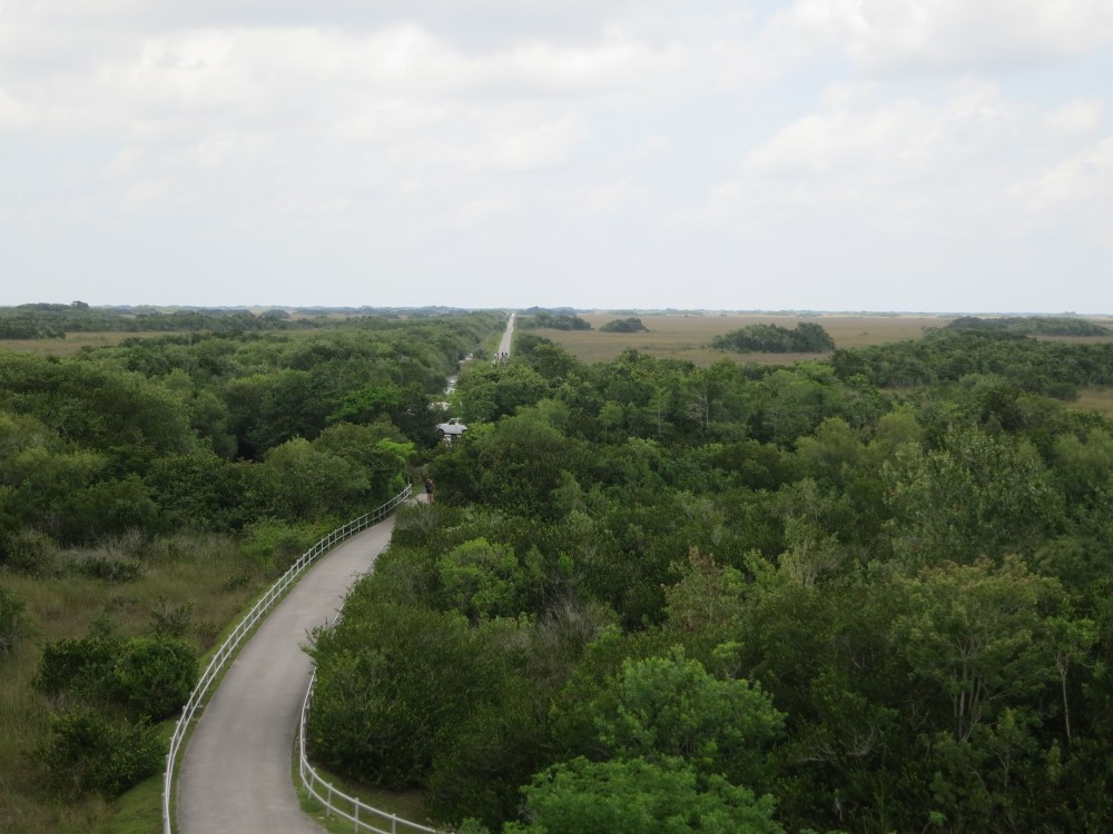 Florida Trip May 2012 171